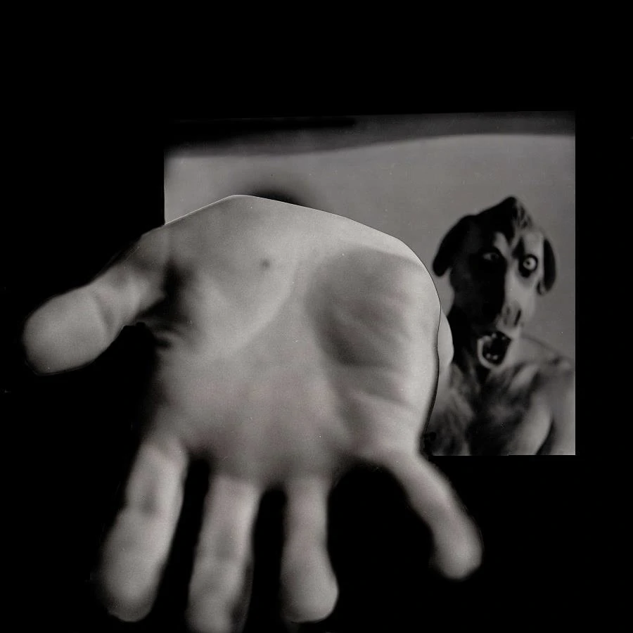 promotional art for the album Fingerprince, featuring its mascot. The mascot is a androgynous humanoid figure with a horse-like face. They are reaching out a hand towards the viewer.